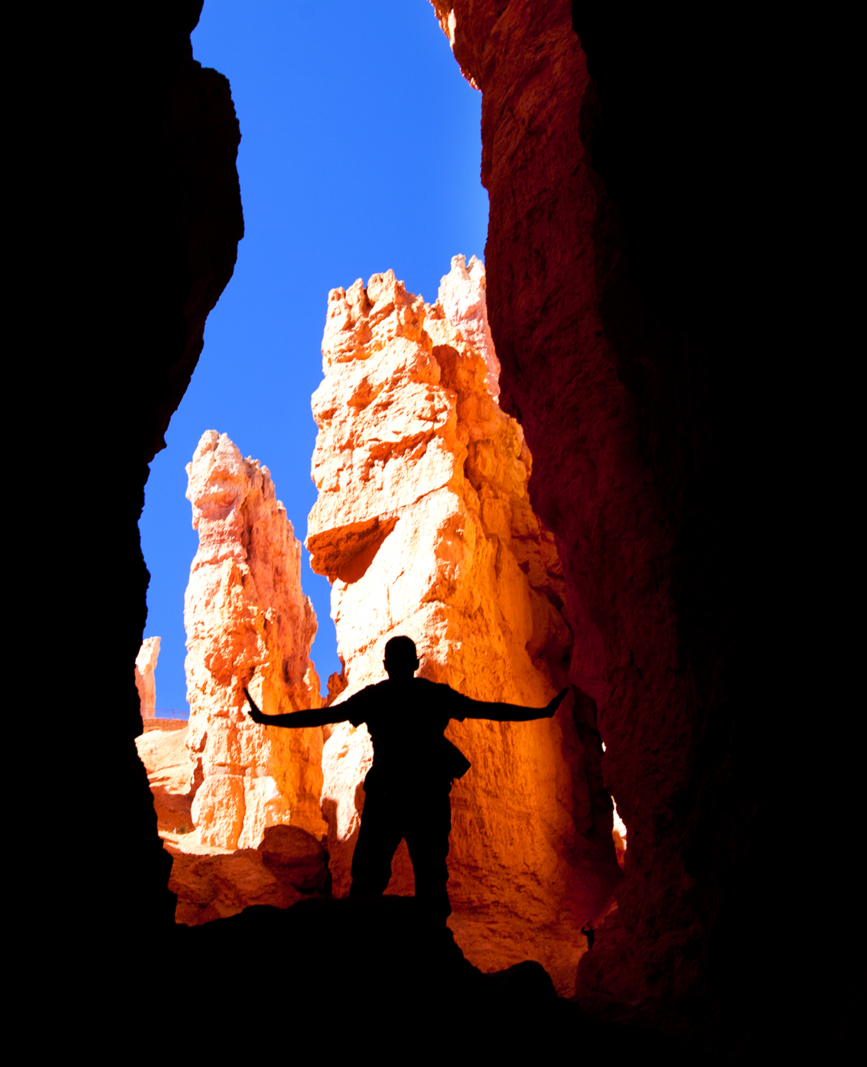 Silhouette Tells the Story